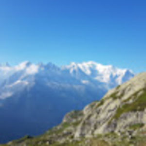 Meet your Posher, Dawson